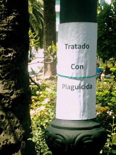 Palm tree near the park: Warning sign believed to read "Treated with Insecticide".