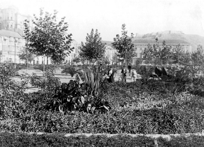 Early plantings, Parque de Malaga